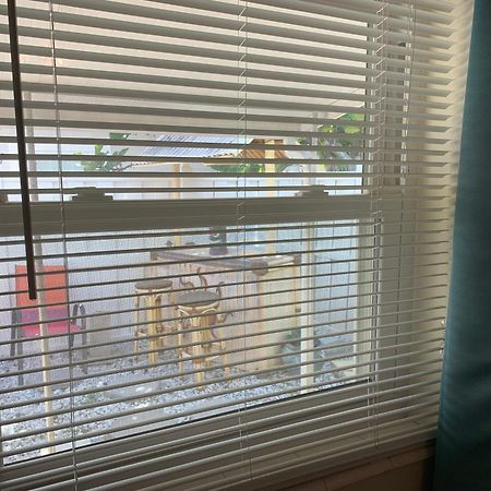 Michaels -Beachside Bungalows St. Pete Beach Bagian luar foto
